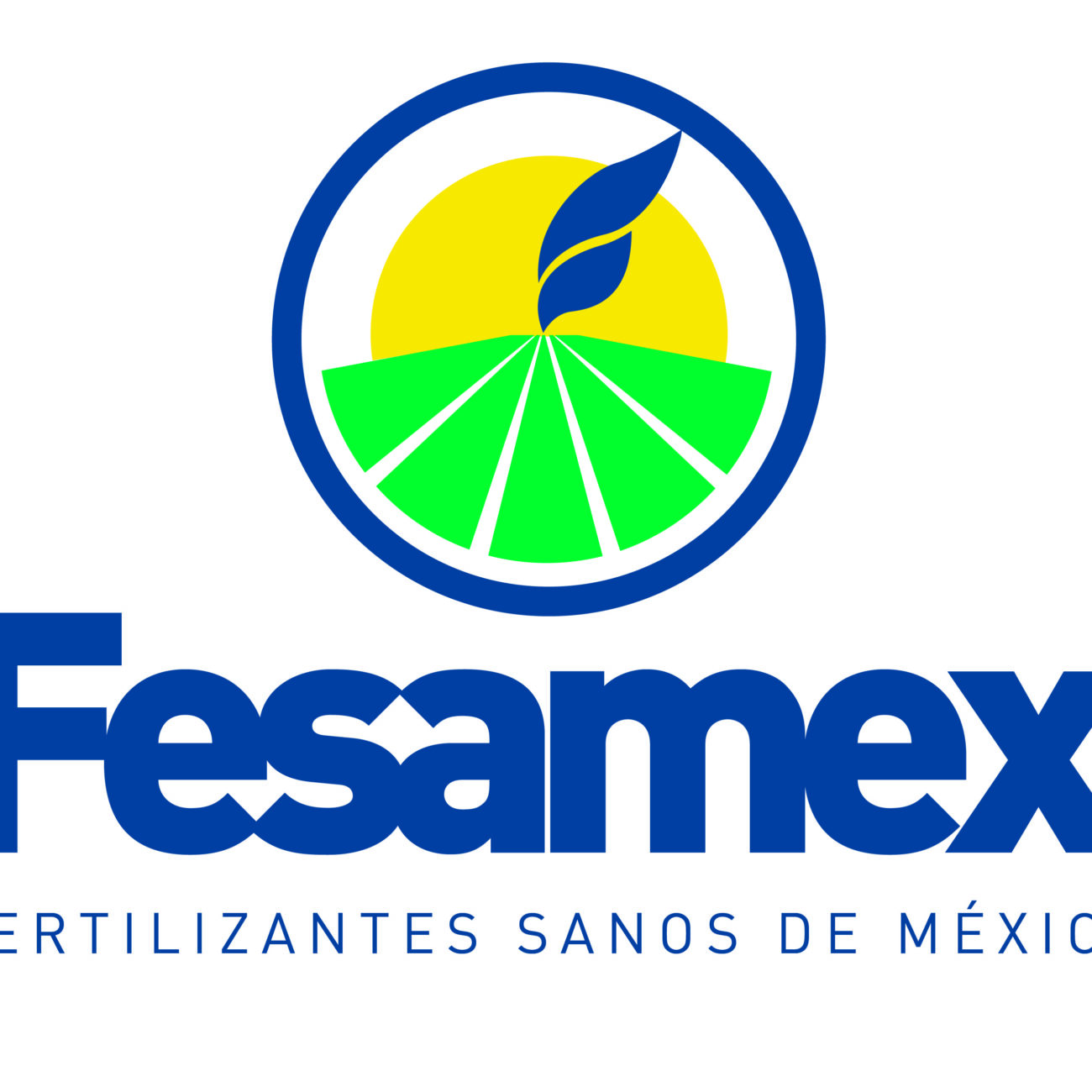 Logo Fesamex