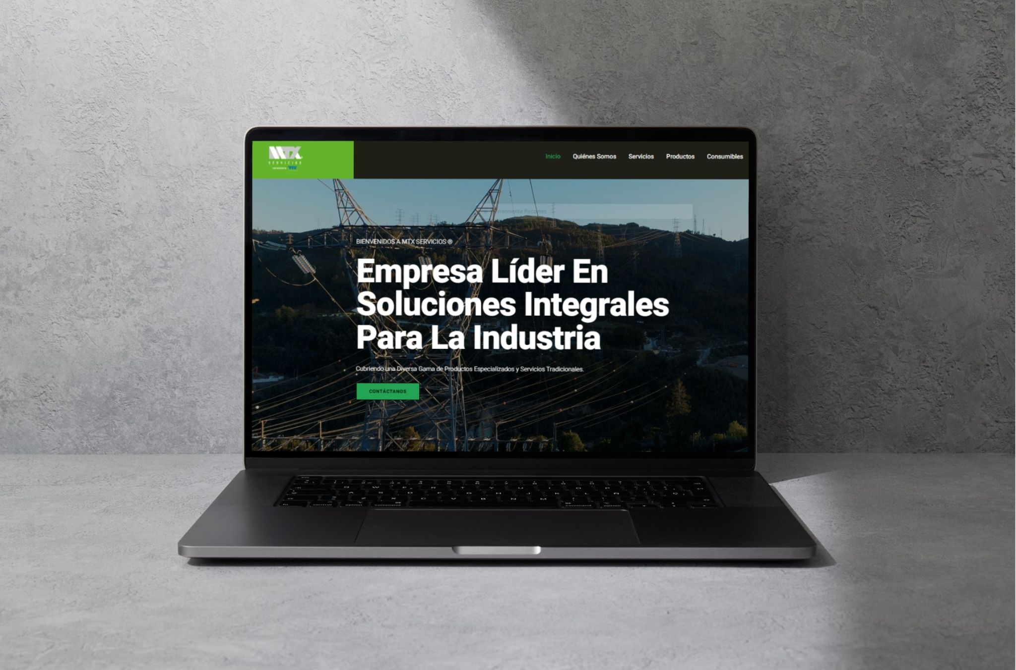 MTX Servicios®